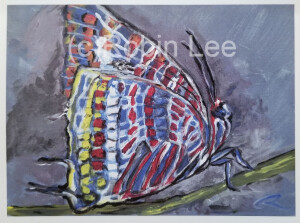 Robin Lee Butterfly