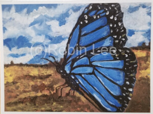 Robin Lee Butterfly