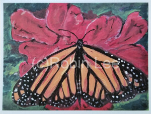 Robin Lee Butterfly