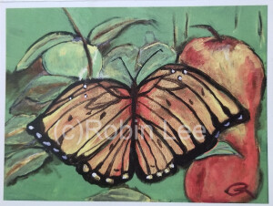 Robin Lee Butterfly